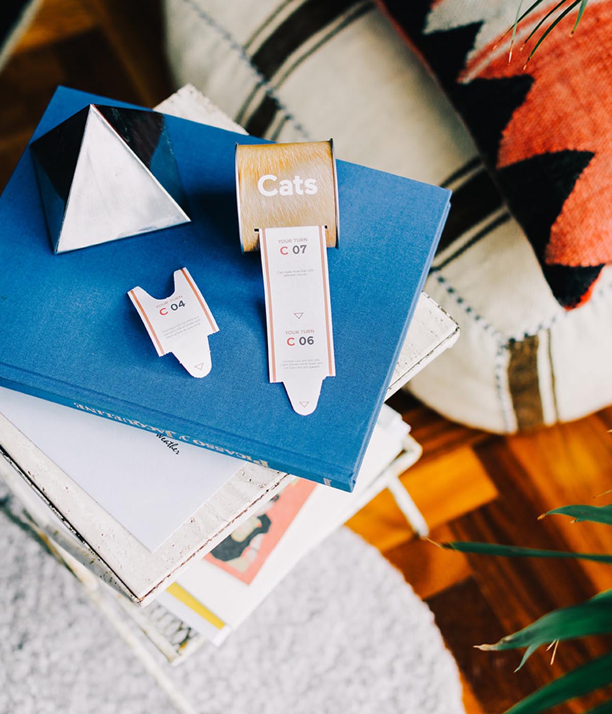 Learn Something New About Cats