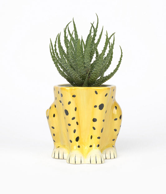 Cheetah Plant Pot