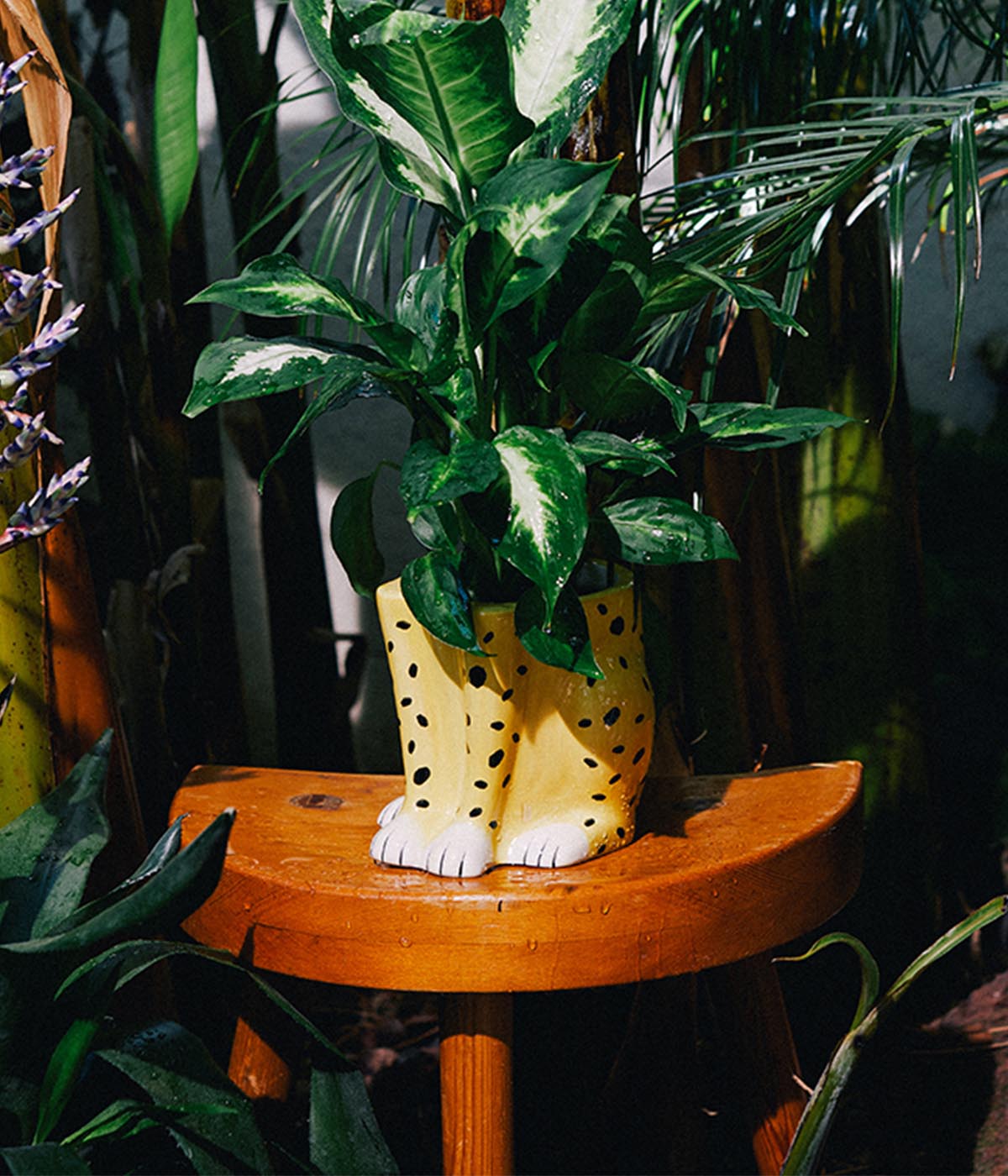 cheetah plant pot Cheetah Plant Pot – Dynasty of Cats