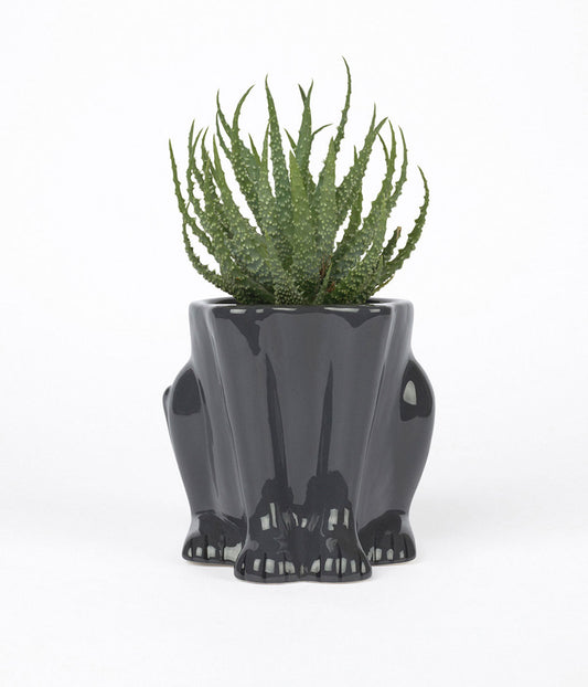 Urban Jungle Panther Plant Pot