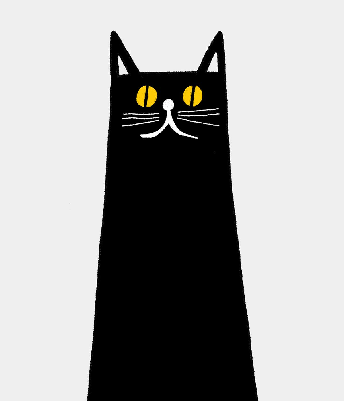 The Curious World Of Cats Understanding The Trend Of Cats With Durags The Hidden Meaning - hp8pt1t