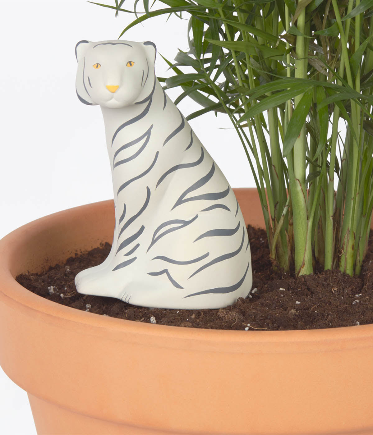 tiger plant pot Jangal Tiger Plant Waterer – Dynasty of Cats