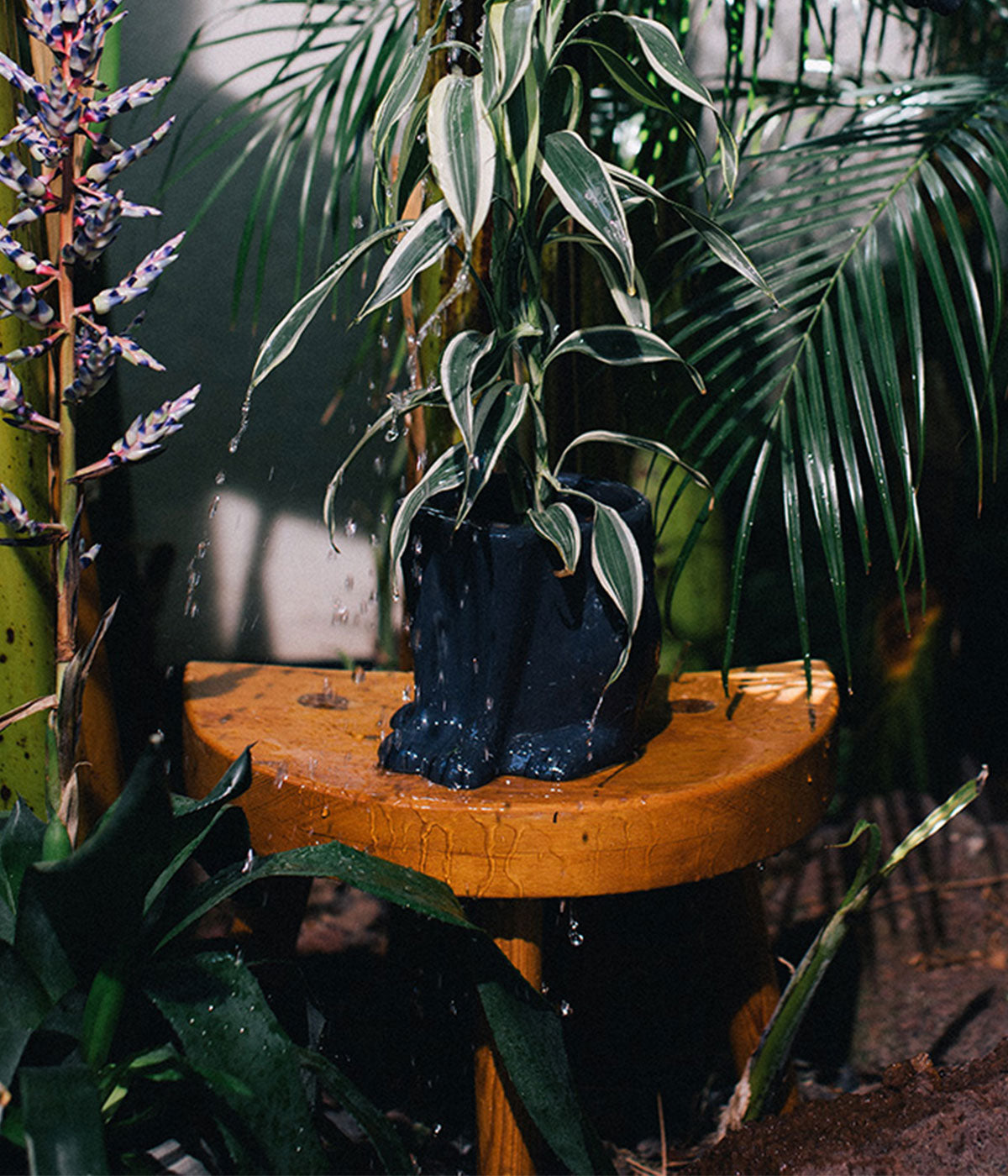 Urban Jungle Panther Plant Pot