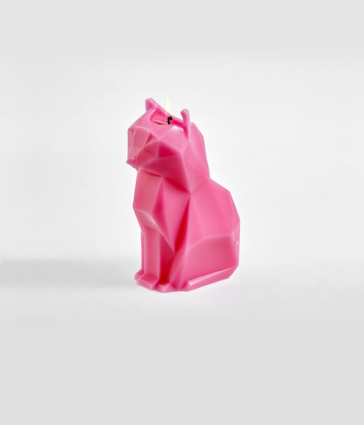 PyroPet Kisa Candle Neon Pink (Scented)