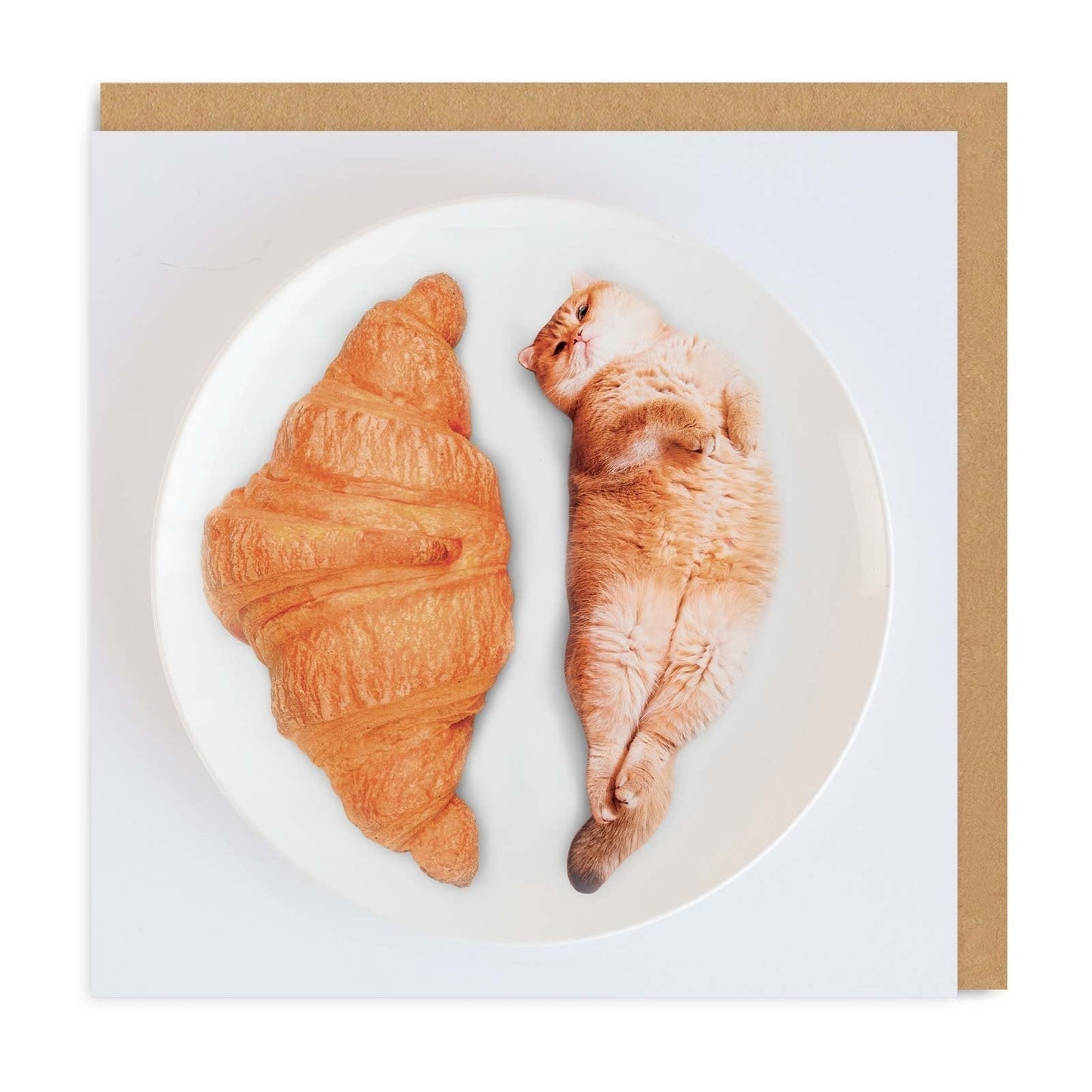 Cat Croissant Greeting Card